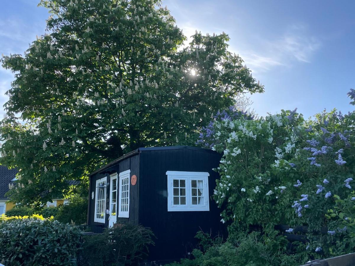 Vaerelser I Historisk Hus Med Sjael Og Atmosfaere 赫尔辛厄 外观 照片